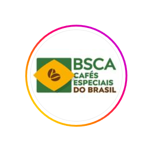 BSCA - cafe 365