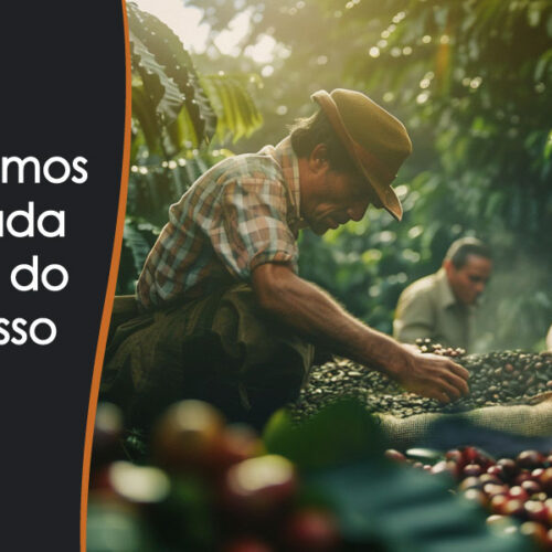 Café Especial ARTE Fazenda São Gabriel