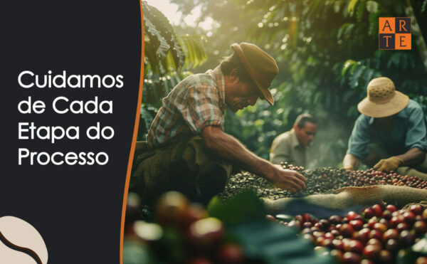 Café Especial ARTE Fazenda São Gabriel