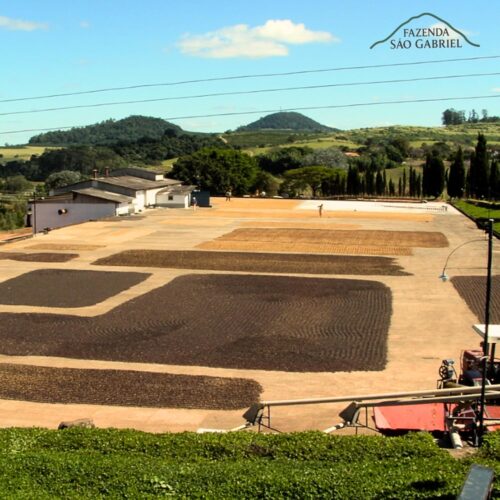 Café Especial ARTE Fazenda São Gabriel